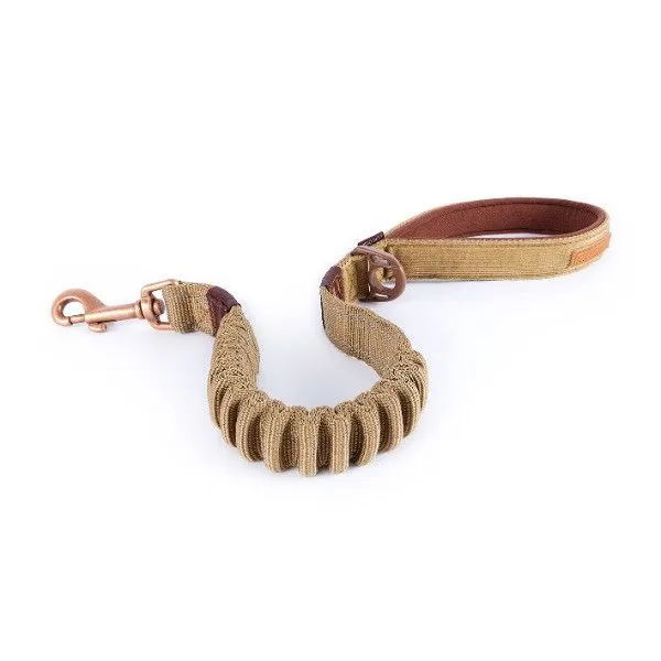 Zero Shock Dog Leash