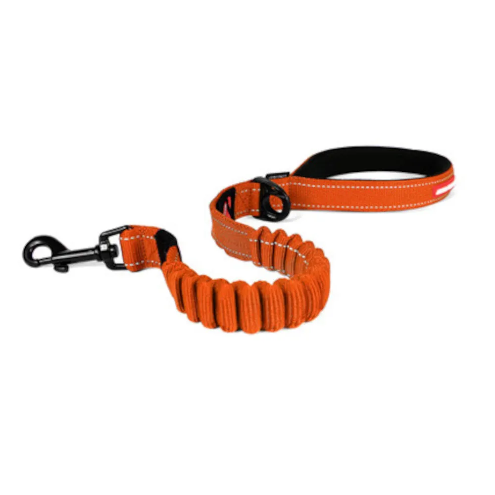 Zero Shock Dog Leash