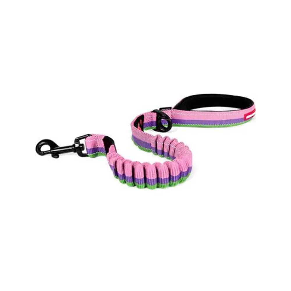 Zero Shock Dog Leash